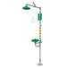Shower with Eyewash, Floor Mount, Galvanized Steel Pipe, 93 1/4 in H, Plastic Bowl, Green/Yellow
