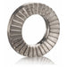 Wedge Lock Washer, For Screw Size 3/8 in 316 Stainless Steel, Plain Finish, 200 PK