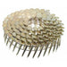 Collated Roofing Nail, 3/4 in L, 11 ga, Electro Galvanized, Flat Head, 15 Degrees, 7200 PK