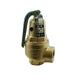Safety Relief Valve,1 In,30 psi,Bronze