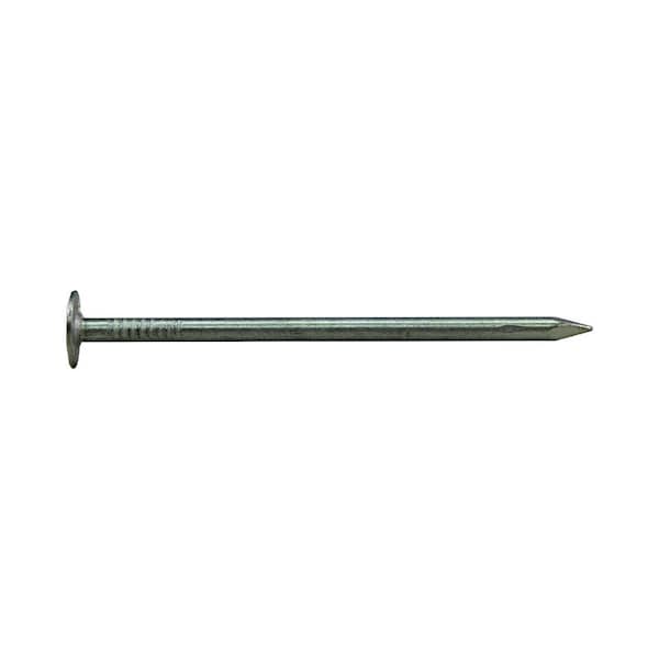 Roofing Nail,  1-1/4 in L,  3D,  Steel,  Electro Galvanized Finish