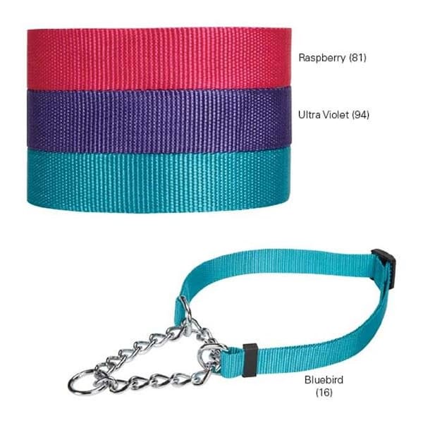 Guardian Gear ZA3301 16 81 GG Martingale Collar 16-24 In Raspberry