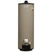 Reliance 12-50-NACT400 Natural Gas Water Heater - 50 Gallon