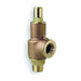 Adjustable Relief Valve,2 In,150 psi