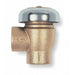 Vacuum Breaker,1-1/4 In.,FNPT,Bronze