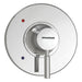 Shower Valve Trim