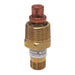 Freeze Proof Valve