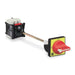 Door Mount Loadbreak Switch,3 Pole,45A