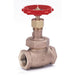 Globe Valve,3/4",Bronze,FNPT,300 psi