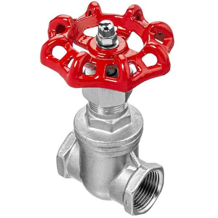 Gate Valve,3/4",304 SS,NPT