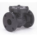 2-1/2" Flanged Cast Iron Swing Check Valve