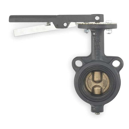 Butterfly Valve,Wafer,4 In,Cast Iron