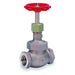 Globe Valve,2",Bronze,FNPT,600 psi