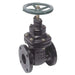 Gate Valve,Class 200,2-1/2 In.,Flange