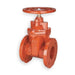 Gate Valve,Class 125,2-1/2 In.,Flange