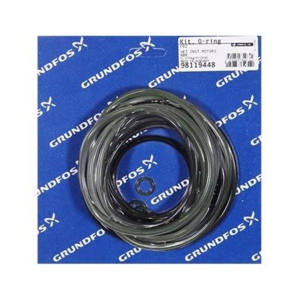 Pump Repair Kits- Kit,  O-ring set for wet motor NBR.