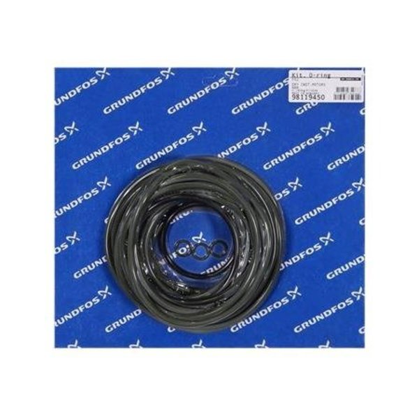 Pump Repair Kits- Kit,  O-ring set for dry motor NBR.