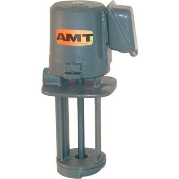 AMT Cast Iron Immersion Type Coolant Pump, 56gpm, Sealless Design, 1/2in NPT Discharge