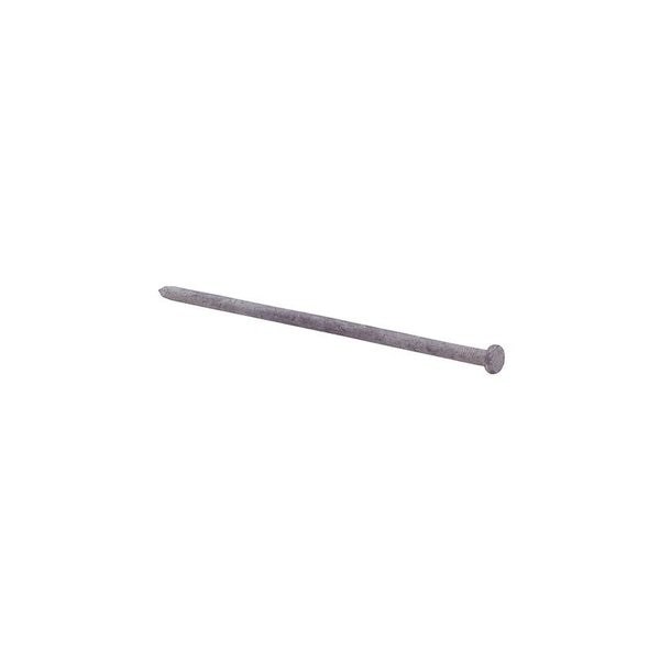 Common Nail,  10 in L,  140D,  Steel,  Hot Dipped Galvanized Finish