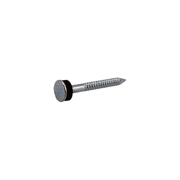 Roofing Nail,  2-1/2 in L,  8D,  Steel,  Electro Galvanized Finish