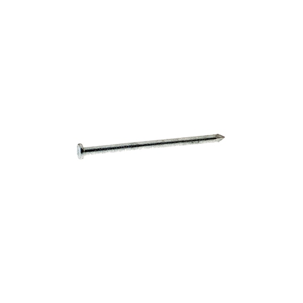 Common Nail,  5 in L,  40D,  Steel,  Hot Dipped Galvanized Finish,  4 ga