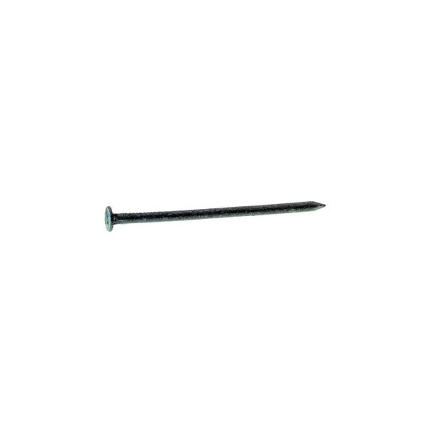 8D 2-1/2 in. Box Hot-Dipped Galvanized Steel Nail Flat Head 1 lb