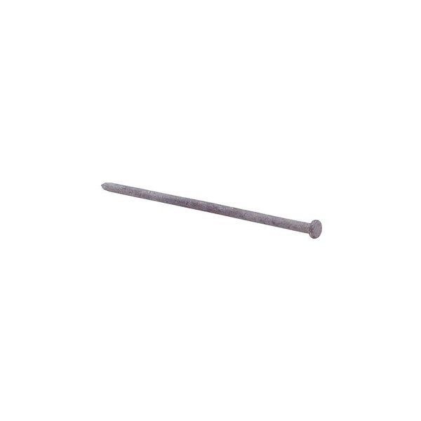 Common Nail,  8 in L,  100D,  Steel,  Hot Dipped Galvanized Finish