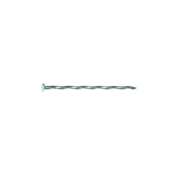 8D 2-1/2 in. Deck Hot-Dipped Galvanized Steel Nail Flat Head 1 lb