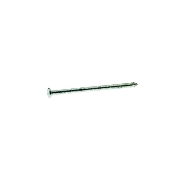 Common Nail,  4 in L,  20D,  Steel,  Hot Dipped Galvanized Finish,  6 ga