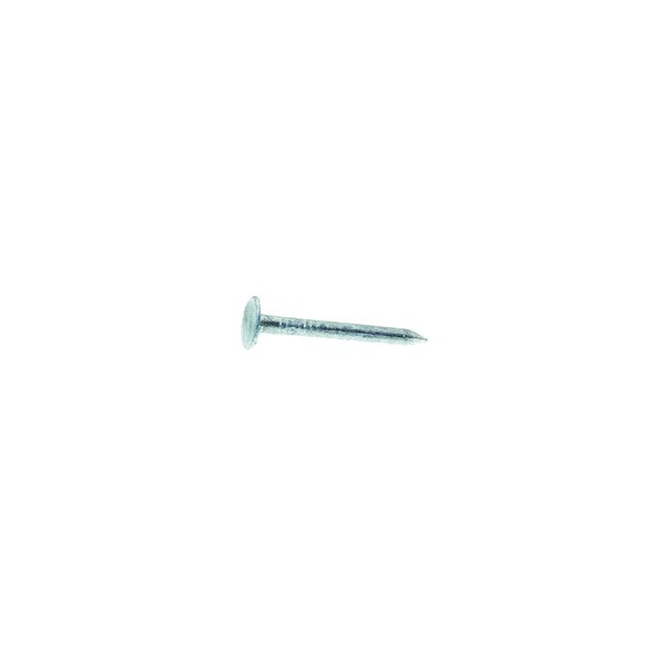 Roofing Nail,  1 in L,  2D,  Steel,  Hot Dipped Galvanized Finish,  11 ga