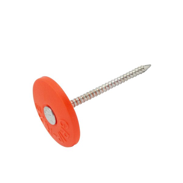 3 in. Cap Bright Plastic/Steel Nail Full Round Head 1 lb