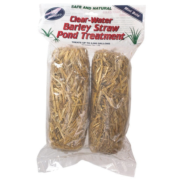 STRAW BARLEY POND TRT2PK