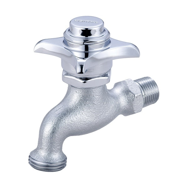 Self-Close Wallmount Faucet,  NPT,  Single Hole,  Rough Chrome