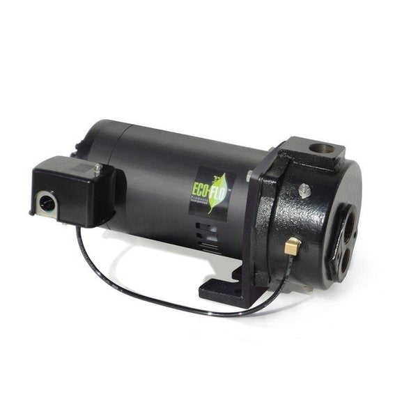 Deep Well Pump 3/4Hp