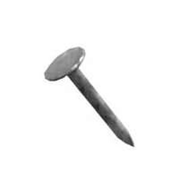 Roofing Nail,  1 in L,  2D,  Hot Dipped Galvanized Finish
