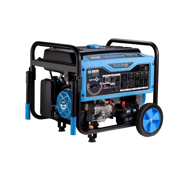 13, 000-Watt Dual Fuel Portable Generator with Remote Start and CO Alert