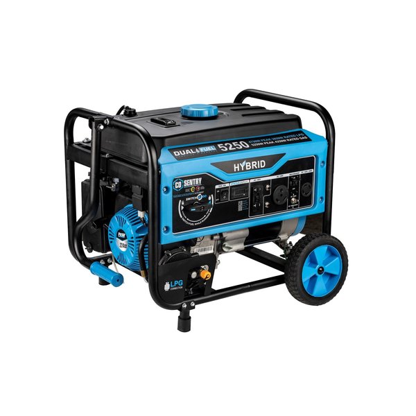 5, 250-Watt Dual-Fuel Portable Generator with CO Alert