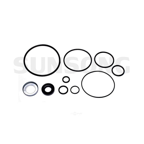 Power Steering Pump Seal Kit,  8401425