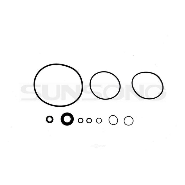 Power Steering Pump Seal Kit,  8401491