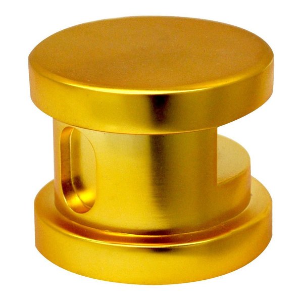 Steamhead with Aromatherapy Reservoir in Polished Gold