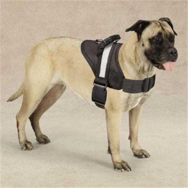 Guardian Gear ZA6223 20 17 Excursion Harness 20-26 In Black