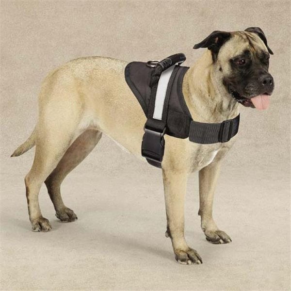 Guardian Gear ZA6223 28 17 Excursion Harness 26-36 In Black