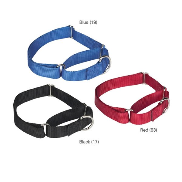 Guardian Gear GG Nylon Martingale Collar 18-26 In Red