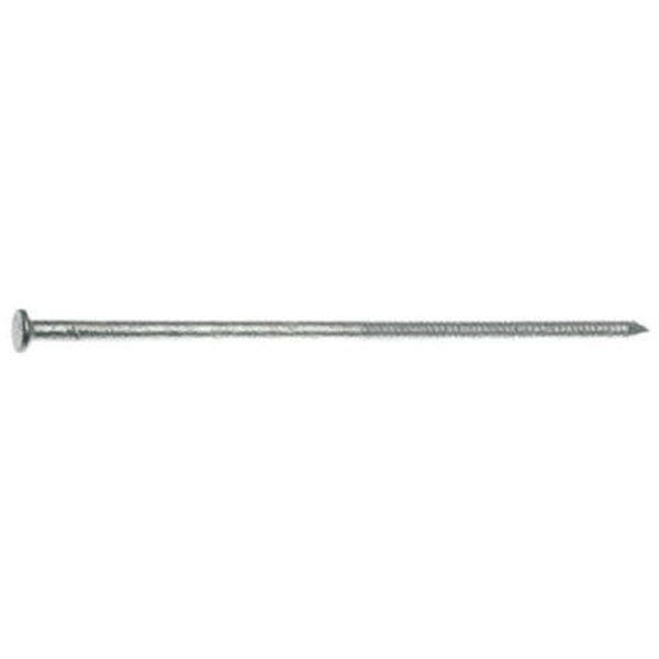 Maze Nails 530A 60D 6 in. Ring Shank Polebarn Nail - 50 lbs.