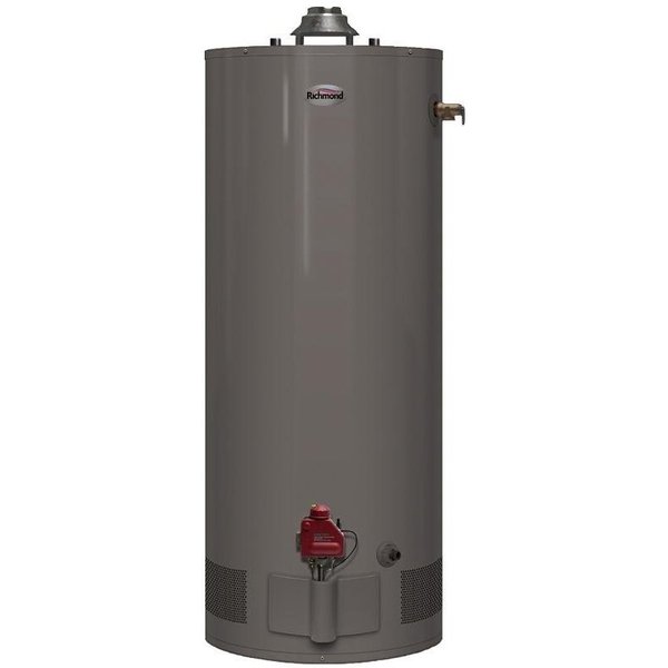 Essential Series Gas Water Heater,  Liquid Propane,  40 gal Tank,  65 gph,  31000 Btuhr BTU