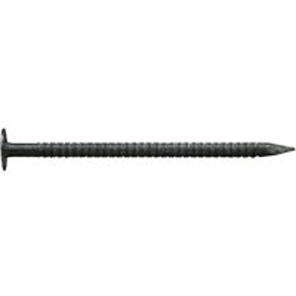 National Nail 00 Drywall Nail,  138 in L,  Brite,  Flat Head,  Round Shank,  50 lb