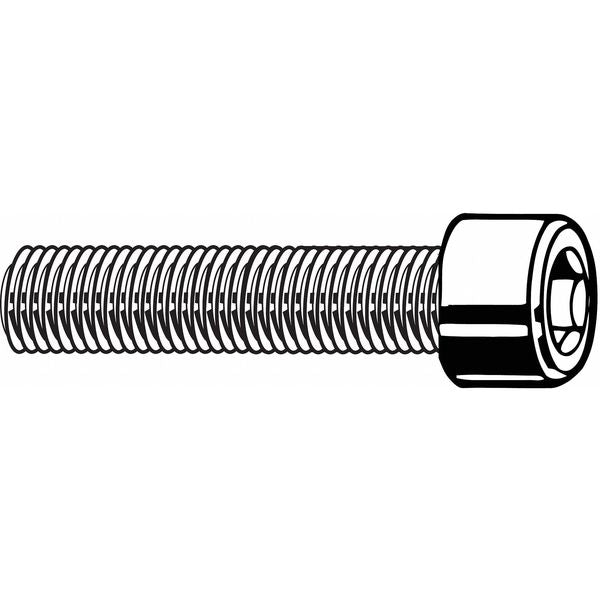 M3-0.50 Socket Head Cap Screw,  Plain Stainless Steel,  12 mm L,  50 PK