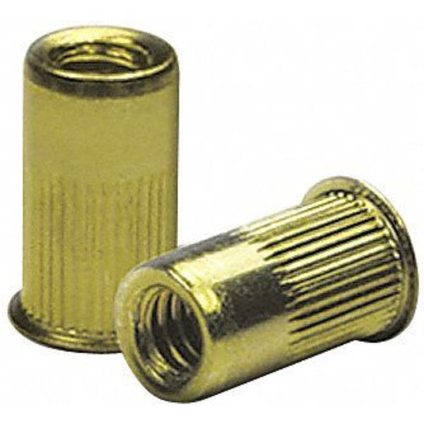 Knurled Flanged Rivet Nut,  #10-24 Dia./Thread Size,  0.34 in Head Dia.,  0.475 in L,  Steel,  100 PK