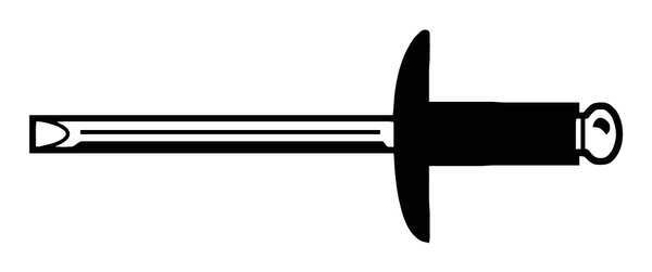 Blind Rivet,  Large Flanged Head,  3/16 in Dia.,  0.95 in L,  Stainless Steel Body,  250 PK