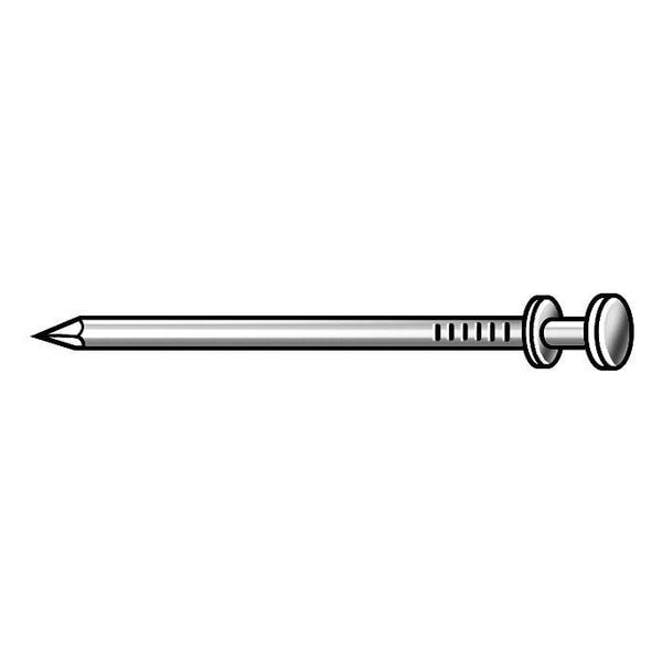 Scaffold Nail, 8d, 2 1/4 In L, PK440